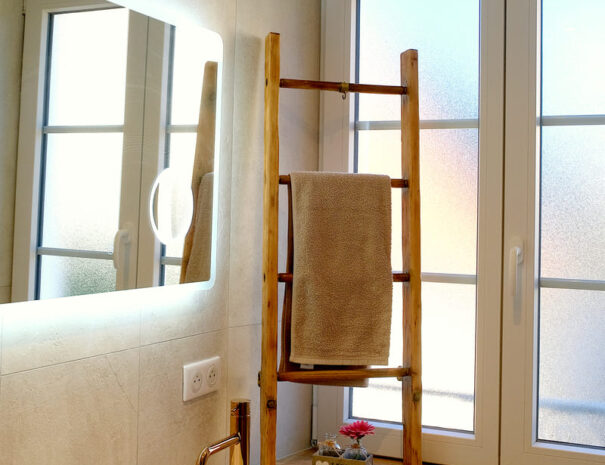 chambre-strasbourg-salle-bain